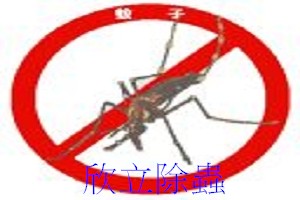 防治登革熱|病媒蚊